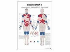 Tablica anatomiczna "Fizjoterapia II"